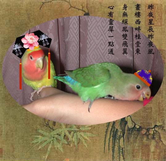 中國風婚紗