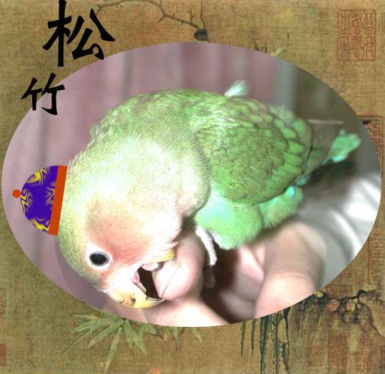 中國風~貝勒爺獨照
