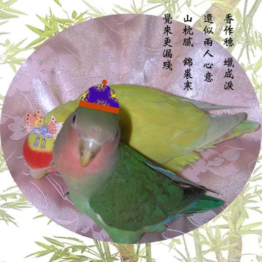 中國風~合照