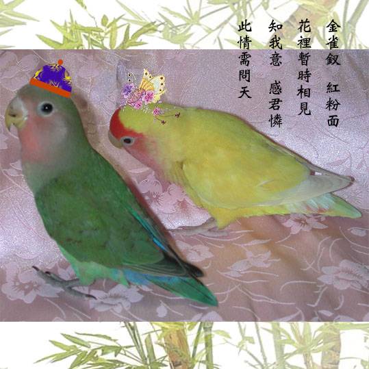 中國風~合照
