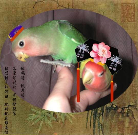 中國風~合照