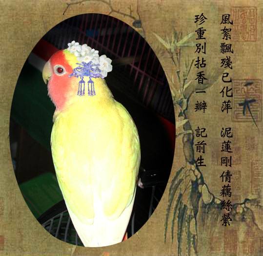 回眸一望