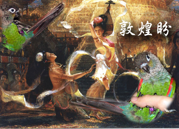 敦煌盼~