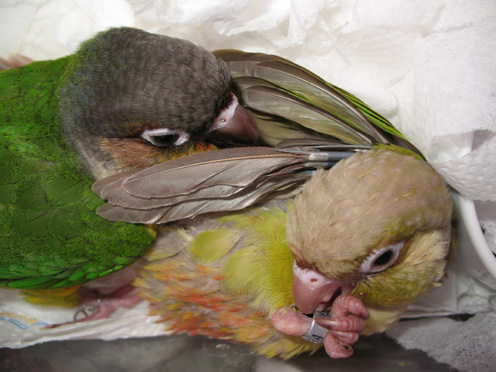 Photo 26787