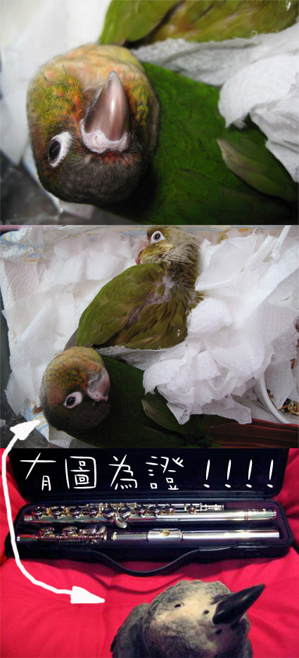 不是我的錯