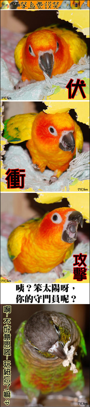 守門員呢？