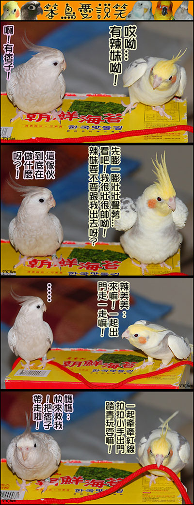 有辣妹！