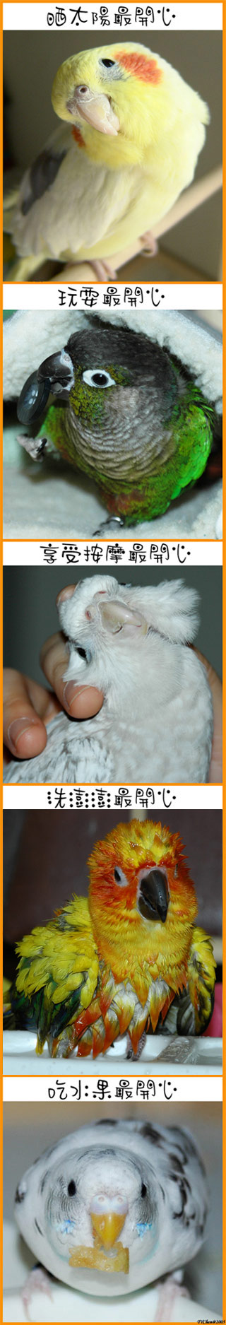 什麼時候最開心