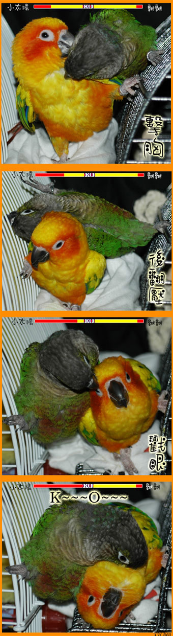 快打旋風