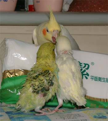 別過來...我咬你喔!!!