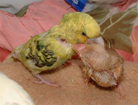 嗯~~~這樣蠻舒服的!!!