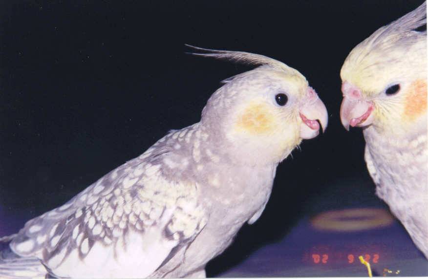 Photo 6655