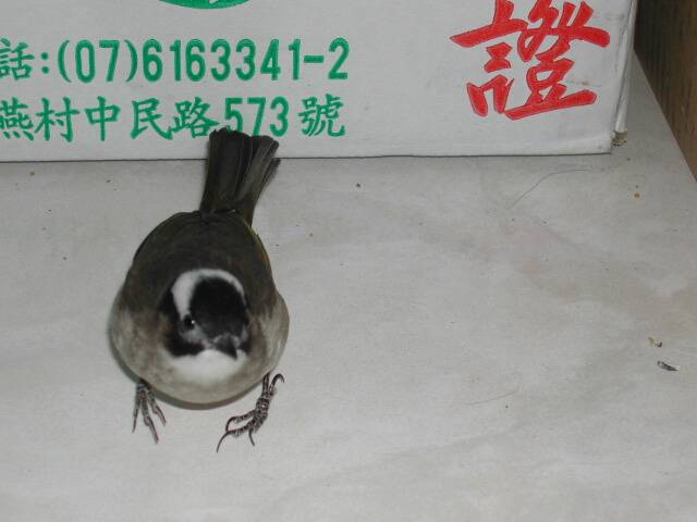 冤枉我....