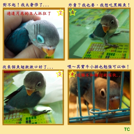小黑點餐記