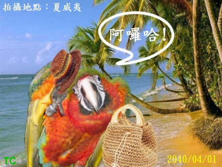 告老還鄉的金剛