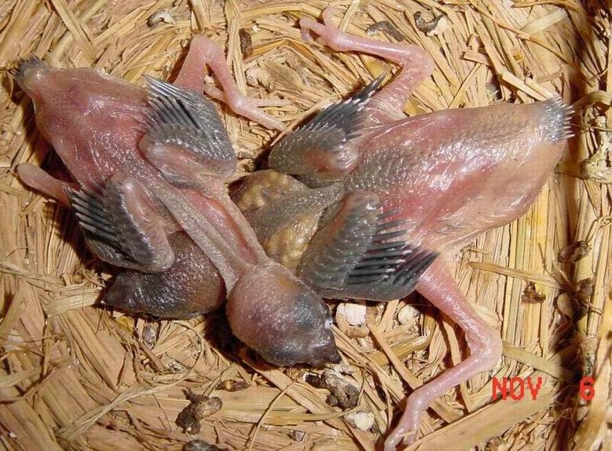 食慾差很多ㄋㄟ