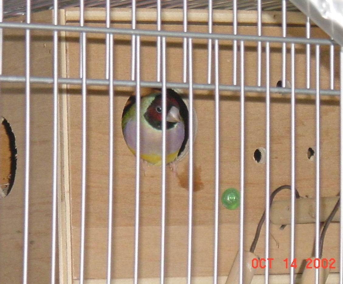 看看有沒有東西吃＠＠