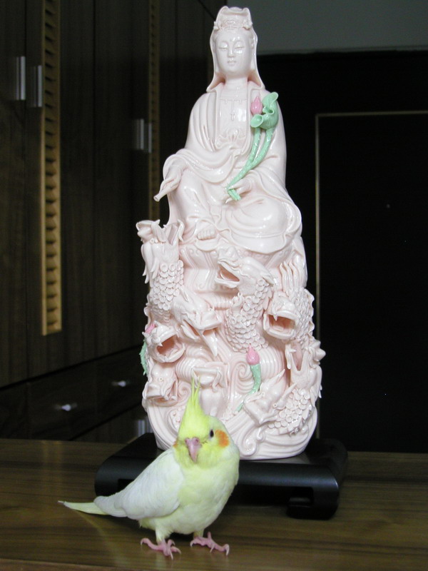阿彌陀佛