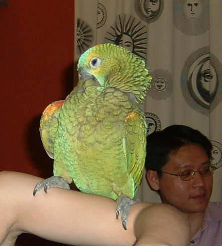 4月19日鳥聚
