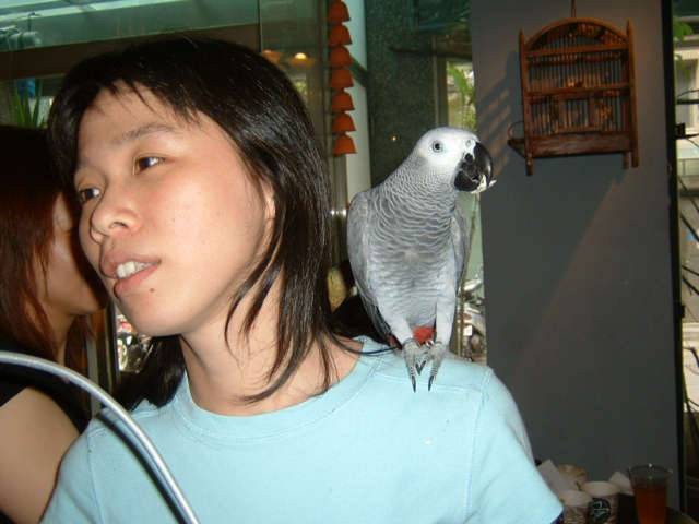 4月19日鳥聚