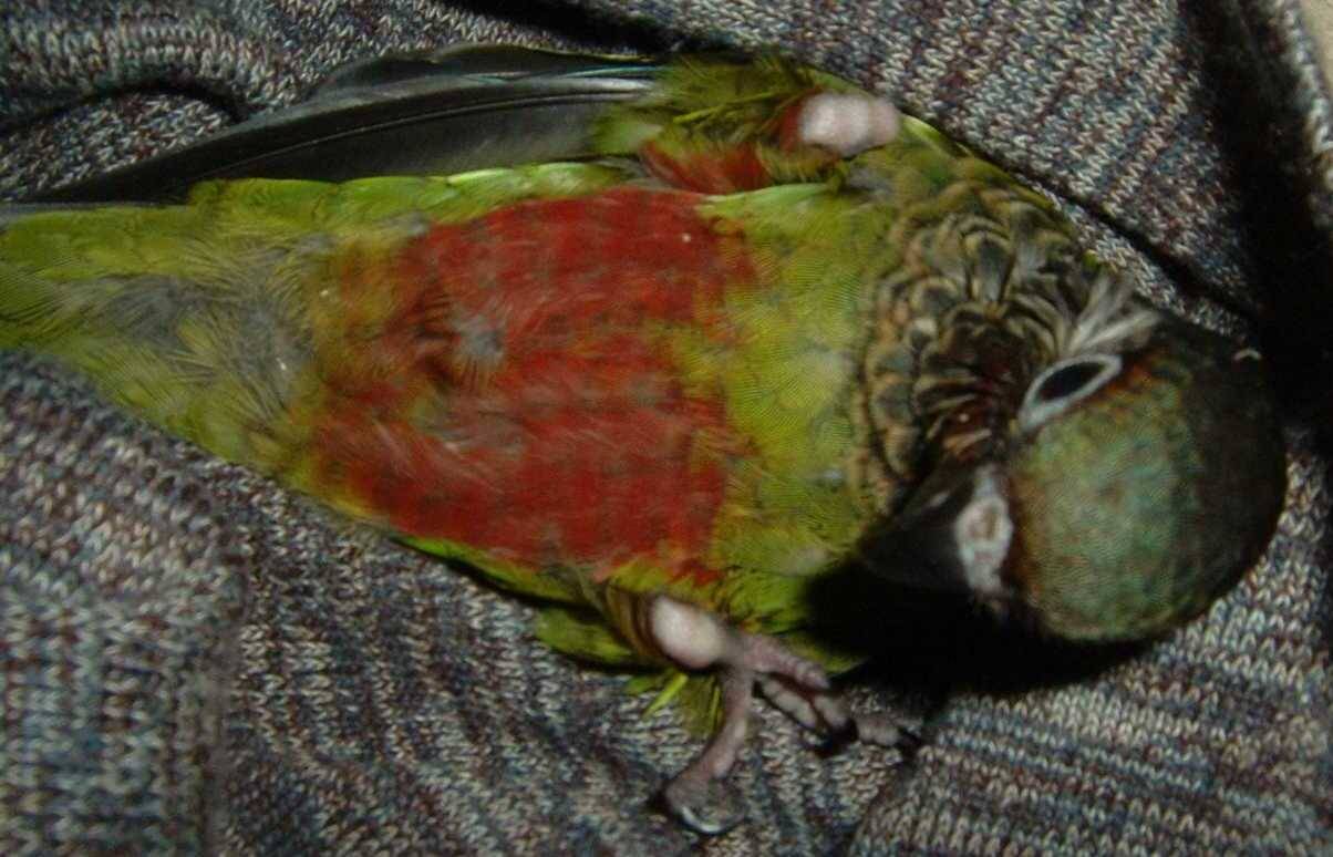 躺好