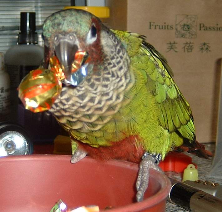 送給大家吃