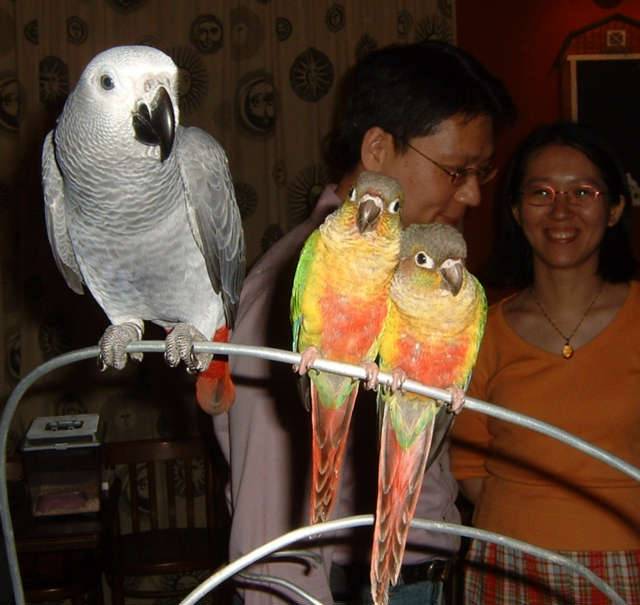 4月19日鳥聚