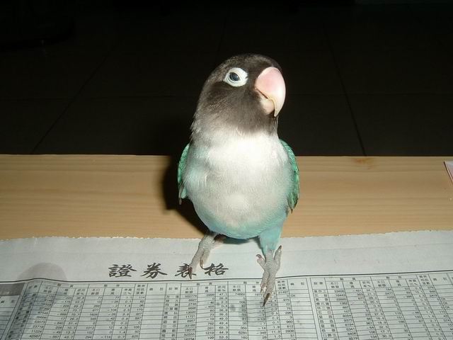 玩股票？？？