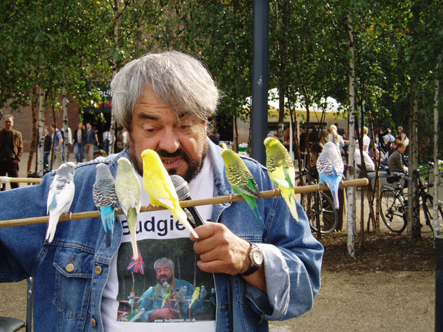 Budgieman  4