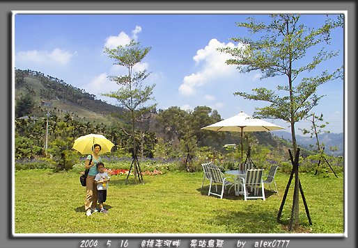 5/16 台中鳥聚照片
