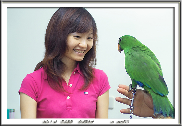 5/16 台中鳥聚照片