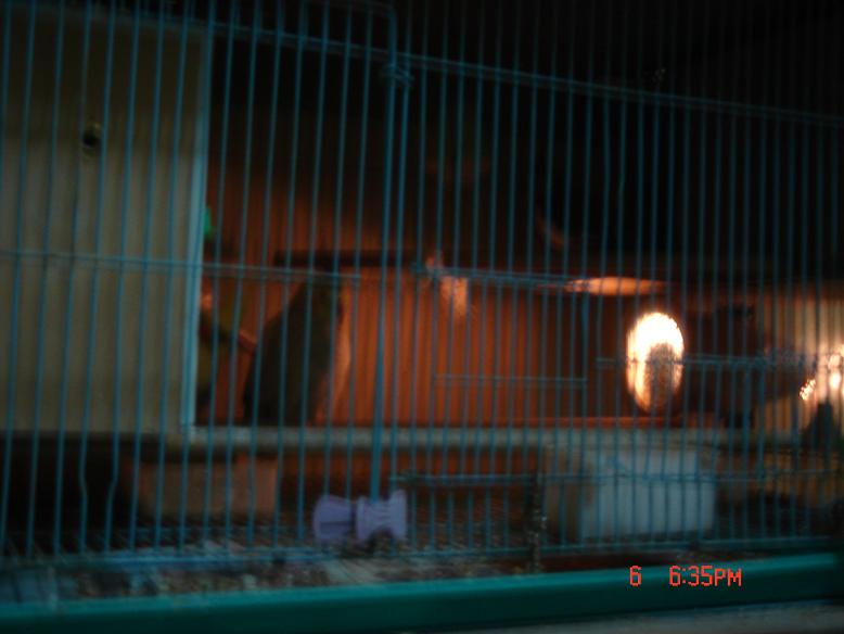 夜間的保溫