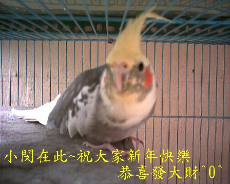 新年快樂