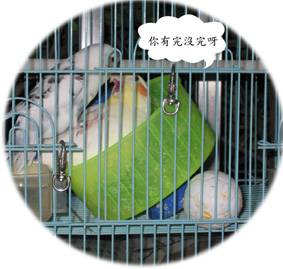 虎皮和玄鳳嘿咻2