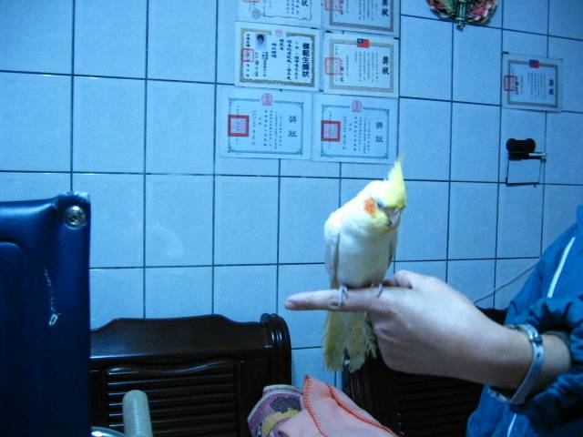 你嘛卡緊ㄝ