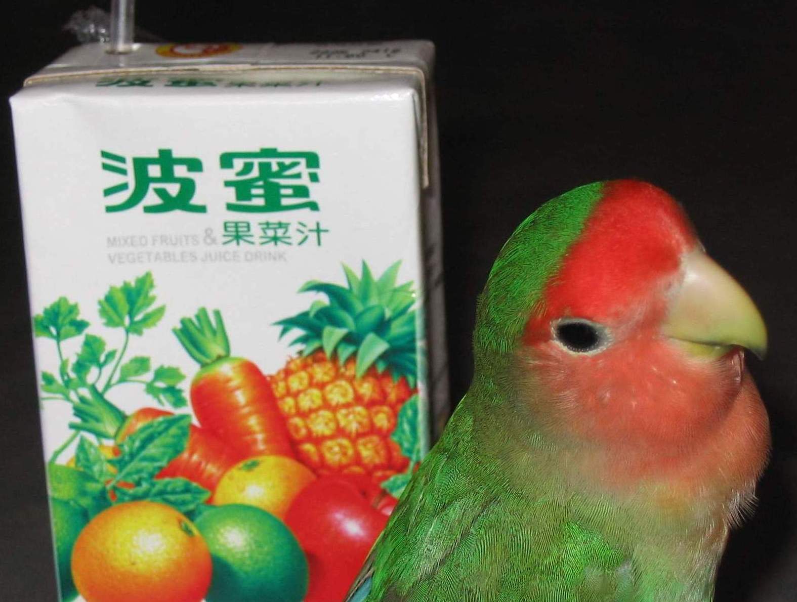 飲料篇1