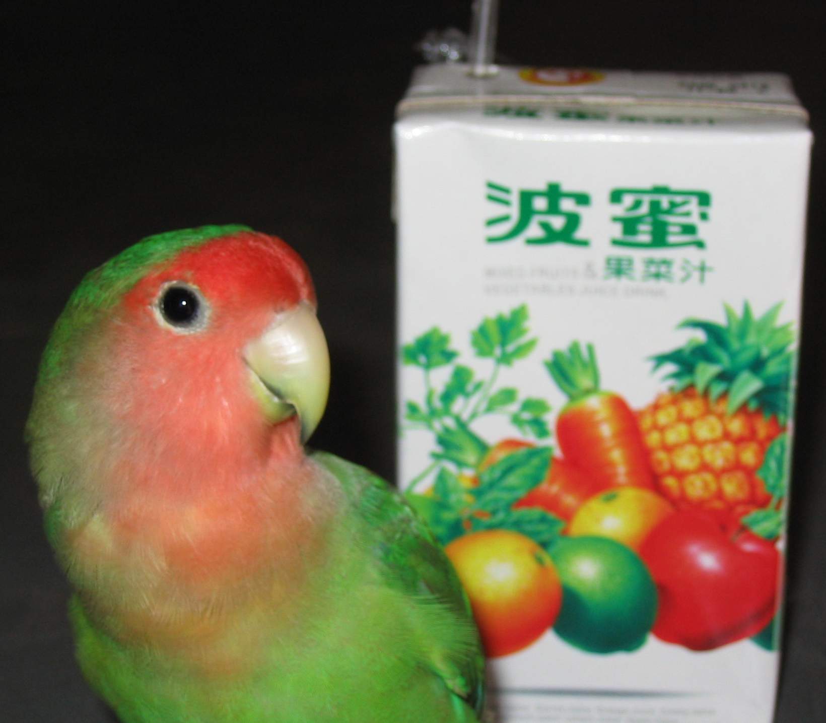 飲料篇2