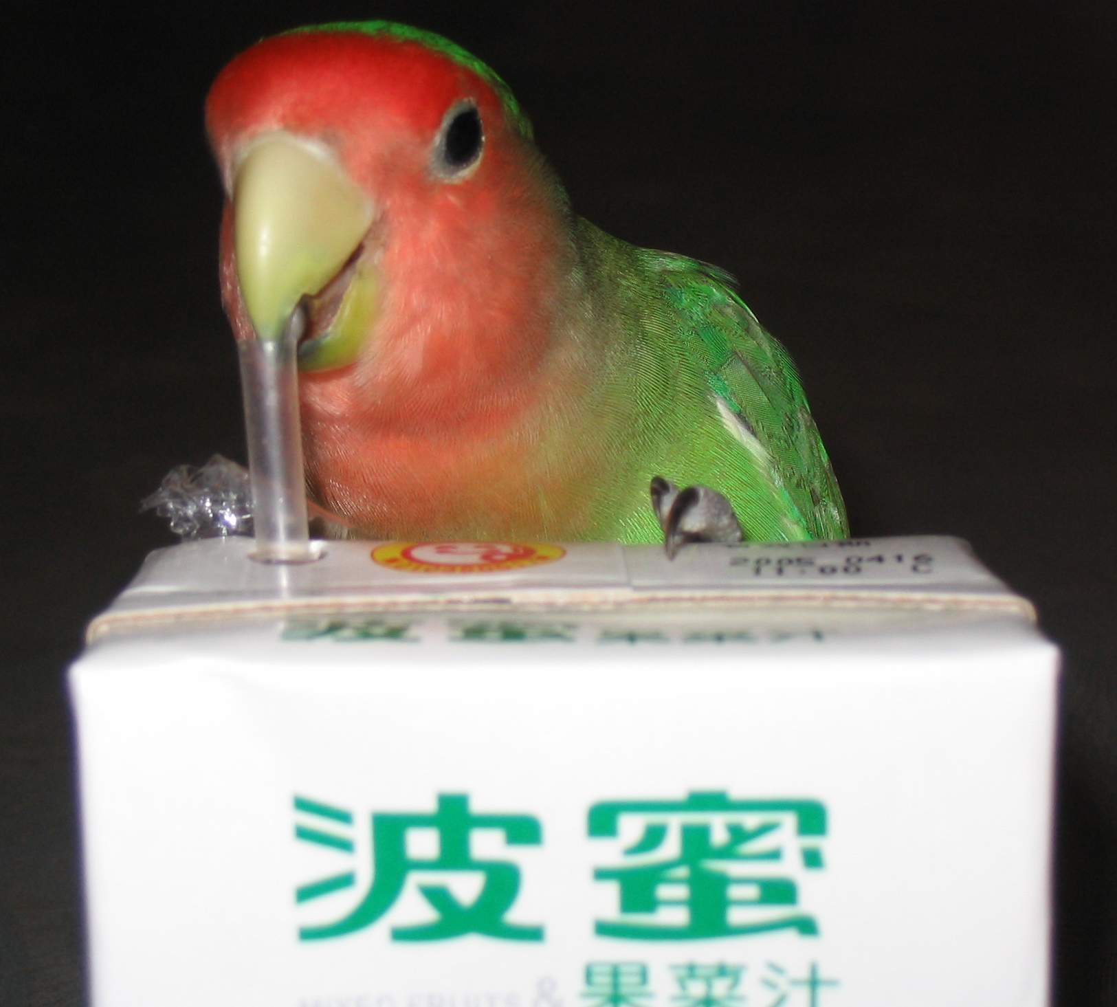 飲料篇3