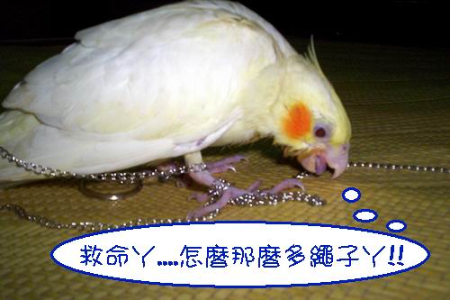 救命丫...