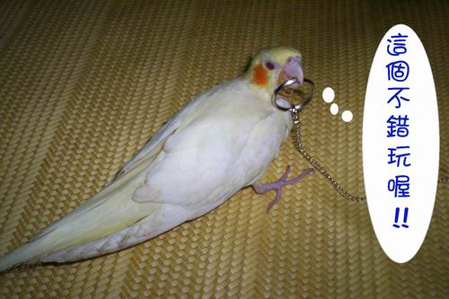 不錯玩