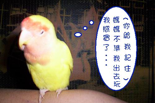 我感冒了...