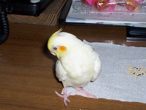 這個姿勢好嗎??