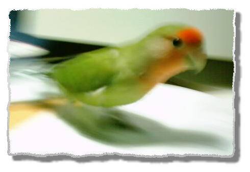 aquaUU