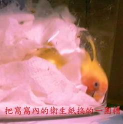 一團糟1