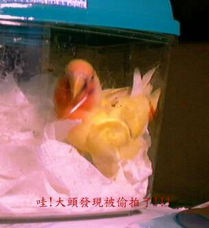 一團糟