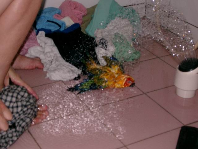 像不像一隻死鳥