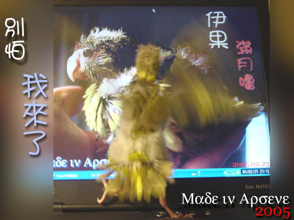 英雄救美去嚕-2