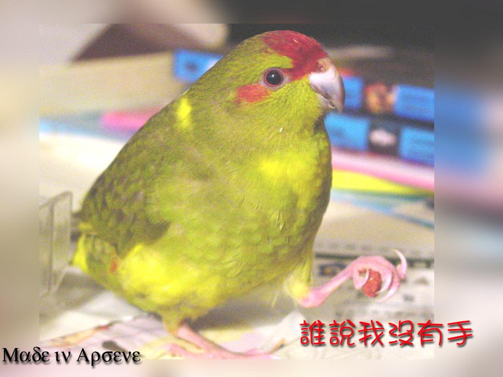 誰說我沒有手