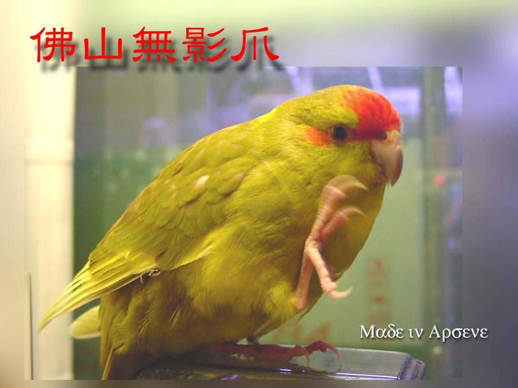 佛山無影爪