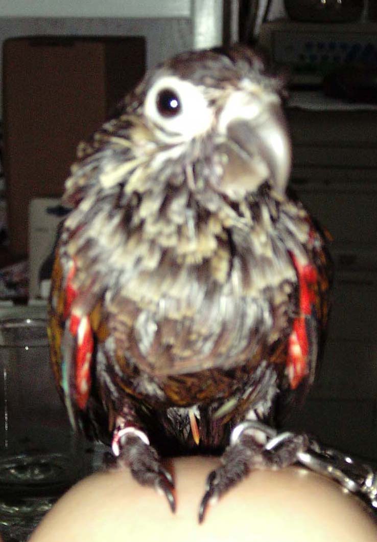 Photo 13581